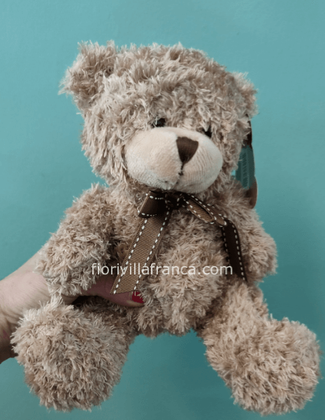 Teddy bear